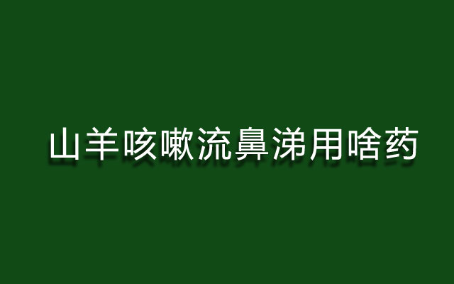 羊咳嗽流鼻涕,羊咳嗽流鼻涕用啥药